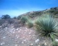 /album/fotos-de-mi-visita-a-la-roca-/img1085-01-jpg/