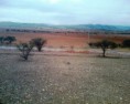 /album/fotogaleria/img1067-01-jpg/