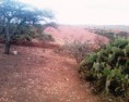/album/fotogaleria/img1070-01-jpg/