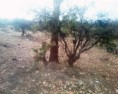 /album/fotogaleria/img1072-01-jpg/
