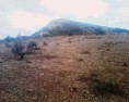 /album/fotogaleria/img1073-01-jpg/