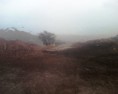 /album/fotogaleria/img1183-01-jpg/