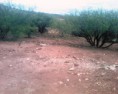 /album/fotogaleria/img1208-01-jpg/