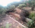/album/fotogaleria/img1232-01-jpg/
