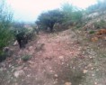 /album/fotogaleria/img1233-01-jpg/