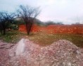 /album/fotogaleria/img1251-01-jpg/