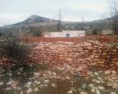 /album/fotogaleria-fotogaleria5/a90438719-jpg/