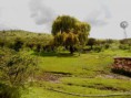 /album/fotogaleria-fotogaleria6/a85902036-jpg/