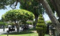 /album/fotogaleria-fotogaleria8/a10532559-827159900627370-8414792194794098947-n-jpg/